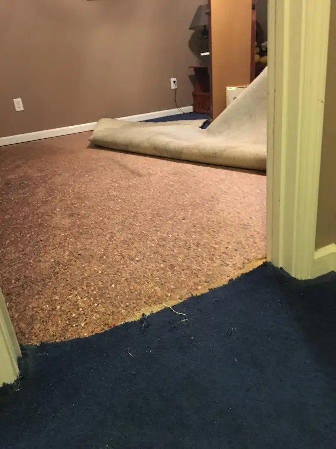 Carpet pad removal revealing water damage during Water Mitigation Services in Langley Park