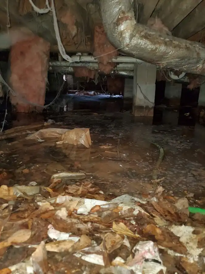 Crawl space flood assessment for Leak Detection & Repair in Langley Park