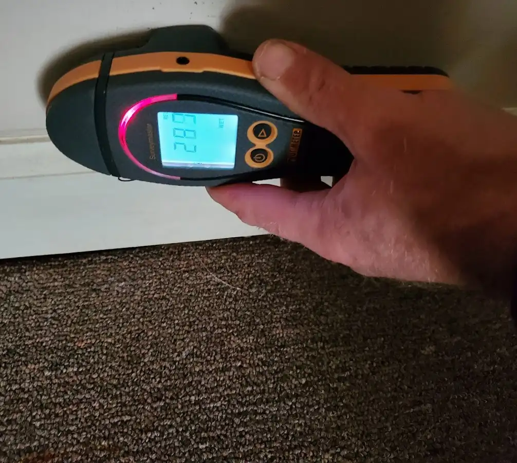 Moisture detection at baseboard during Mold Inspection & Testing in Langley Park